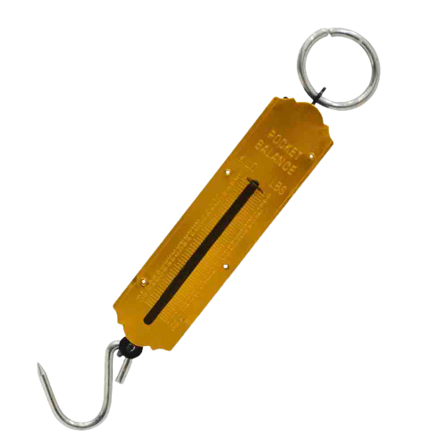 BASCULA ROMANA DE RESORTE 50KG HUNTER AC-1118
