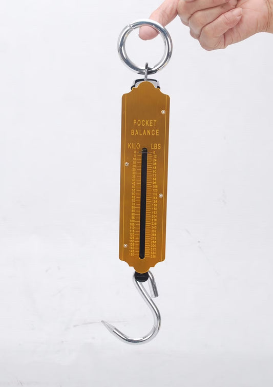 BASCULA ROMANA DE RESORTE 100KG HUNTER AC-1119
