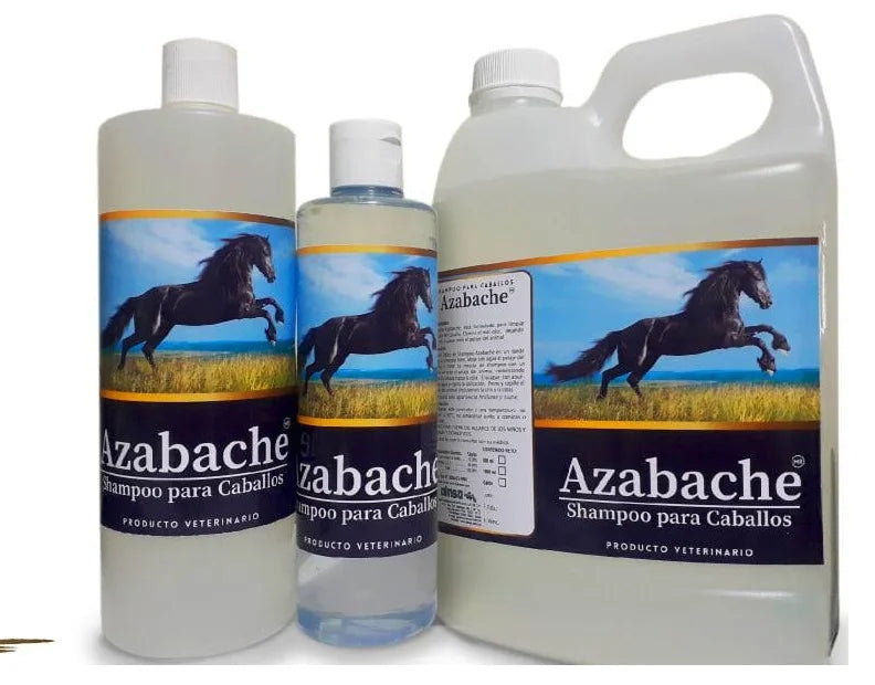 SHAMPOO AZABACHE
