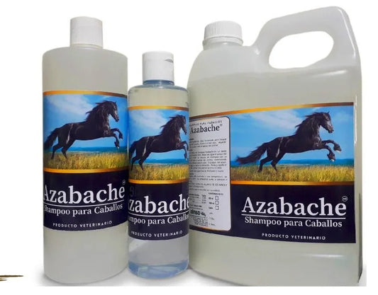 SHAMPOO AZABACHE