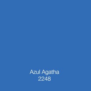 CUBETA CLASICA LATEX AZUL AGATHA CORONA 10022-0048-05